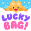 Load image into Gallery viewer, Lucky Bag!