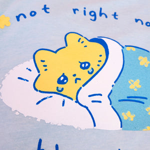 Not Right Now, Thanks - Sad Cat Shirt